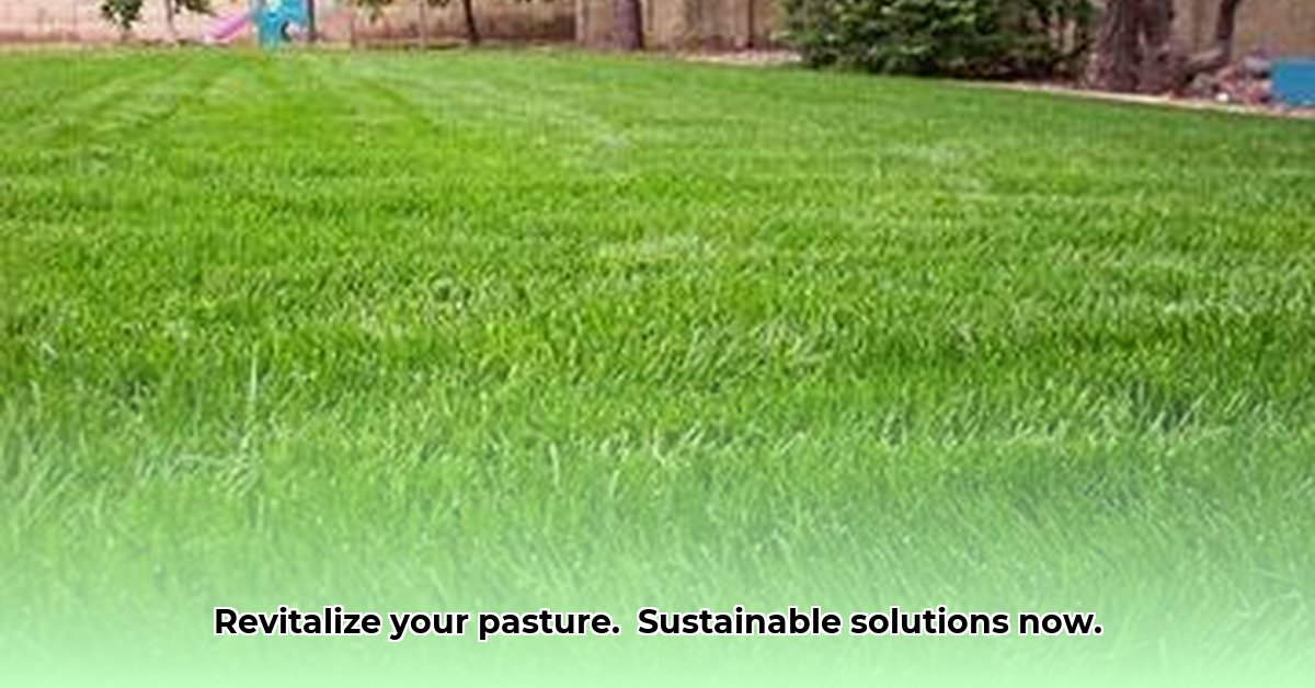 pasture-grass-seed-tractor-supply